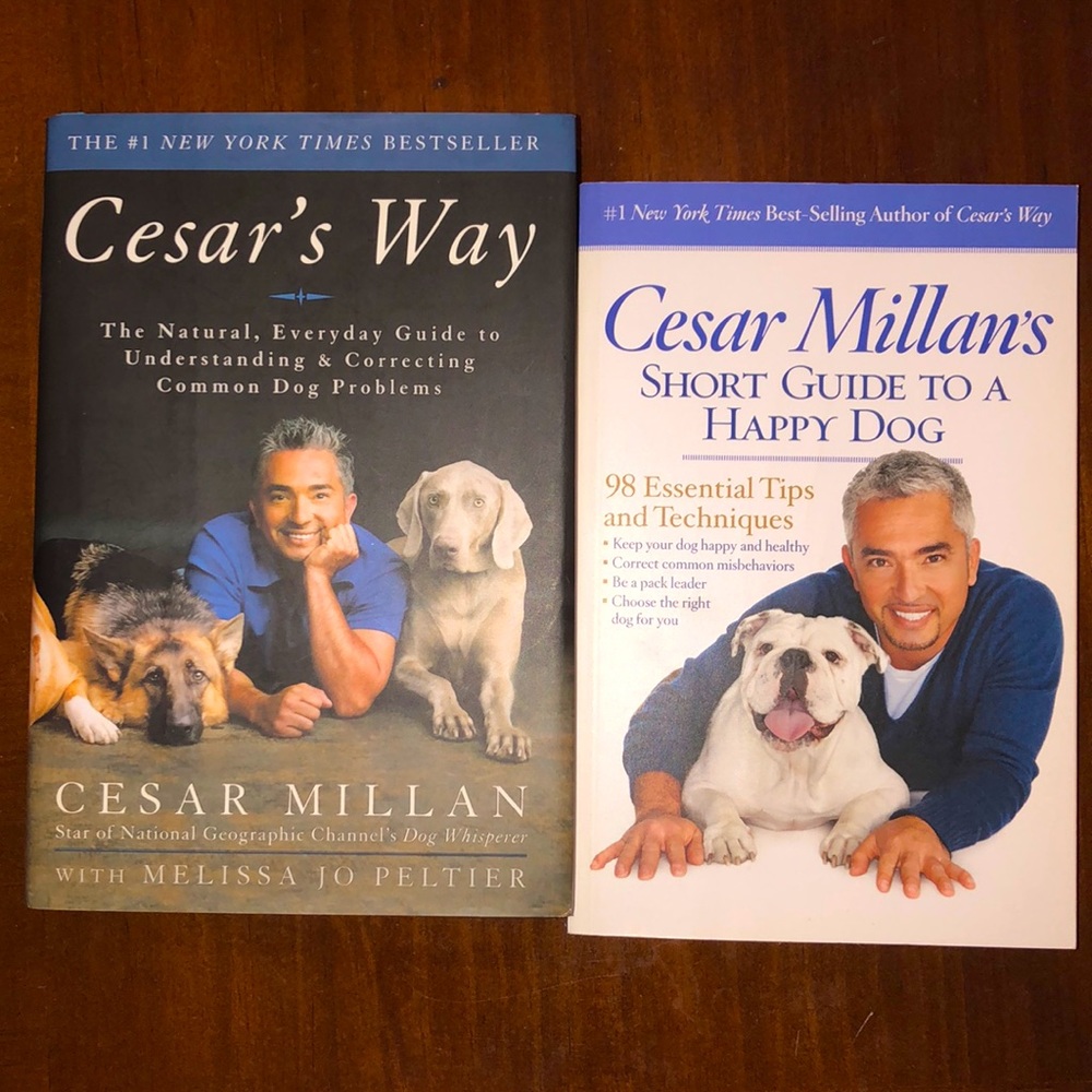 Cesar Millan Dog Guide Books